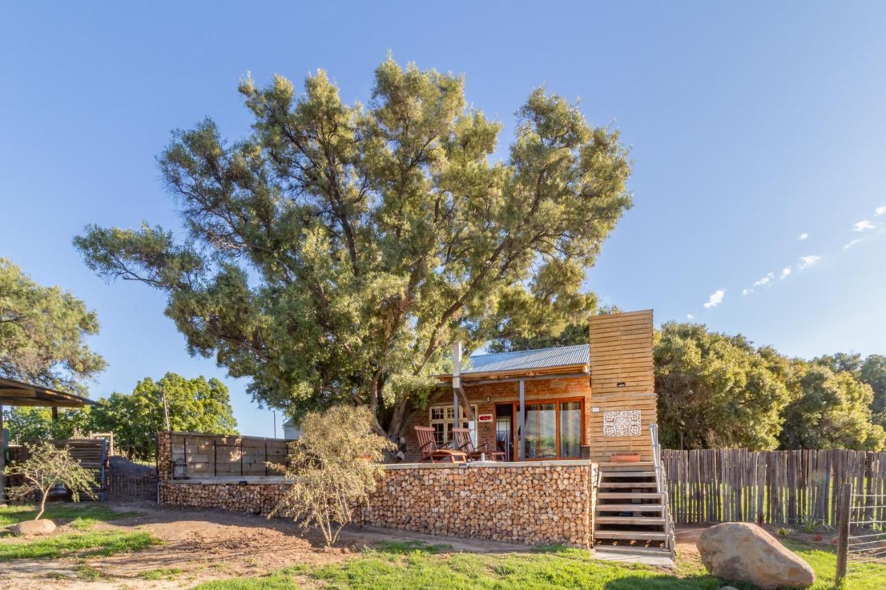 Bergsicht Country Farm Cottages 图尔巴 外观 照片