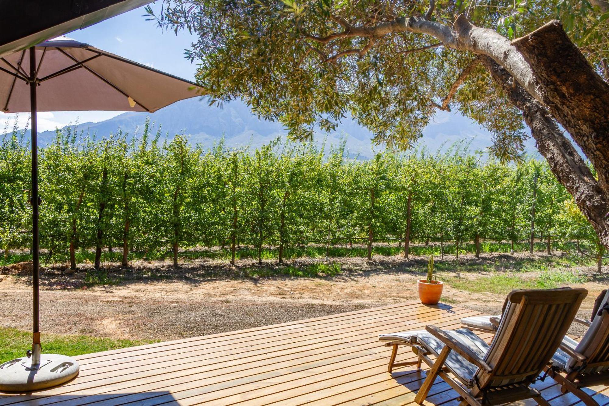 Bergsicht Country Farm Cottages 图尔巴 外观 照片