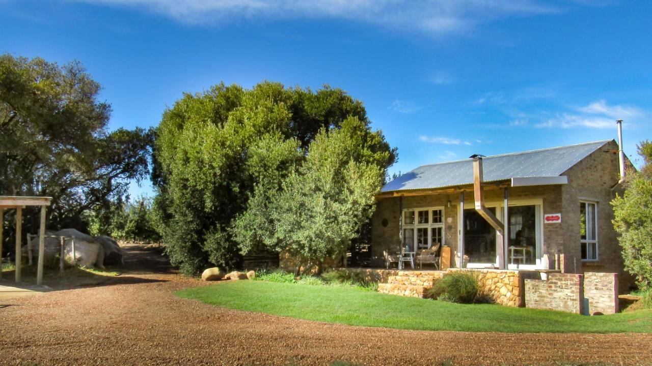 Bergsicht Country Farm Cottages 图尔巴 外观 照片